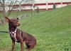 Moni en el parque