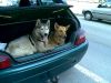 En el coche para irnos de vacaciones a la playa